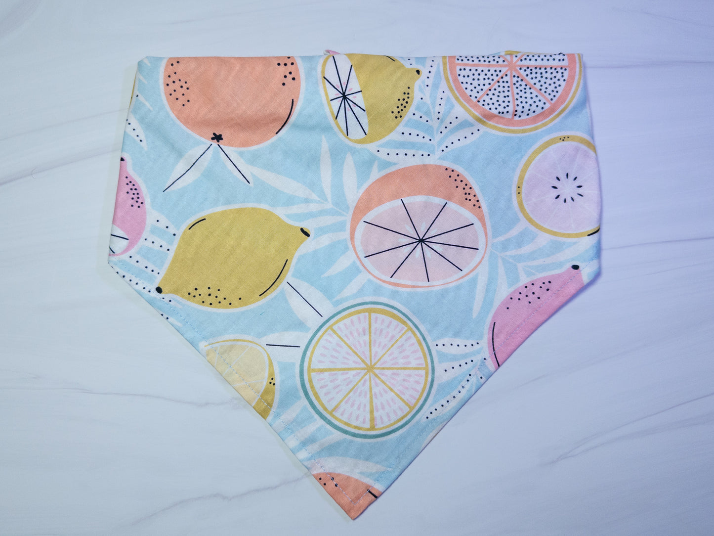 Pastel Citrus Fruit Dog Bandana - Ready to Ship