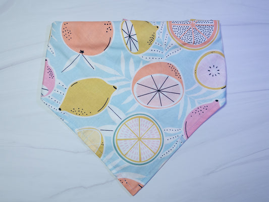Pastel Citrus Fruit Dog Bandana - Ready to Ship