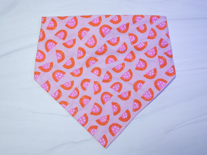 Pink Watermelon Dog Bandana - Ready to Ship