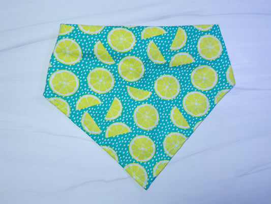 Teal Limes Dog Bandana - Ready to Ship
